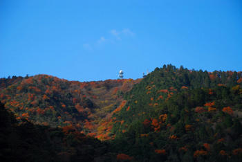 遠くの山の紅葉