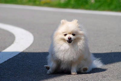 ぺたんこ