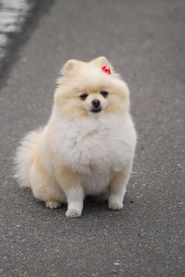 ふぅ