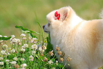 ぼんやり