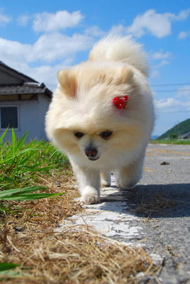 あちあち