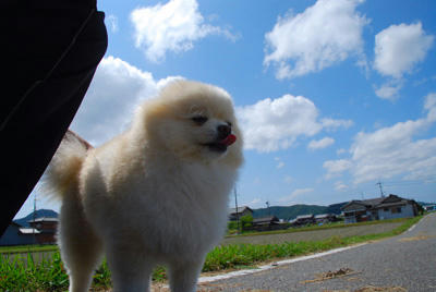 ずず～ん