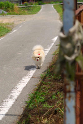 あつい
