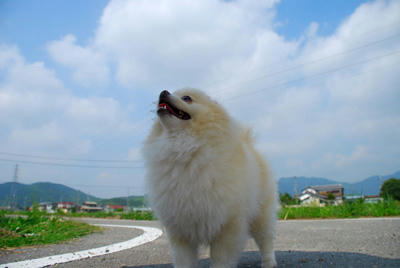 やれやれ