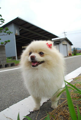 どどーん