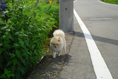 あちあち