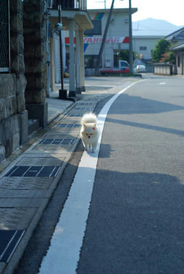 あちあち