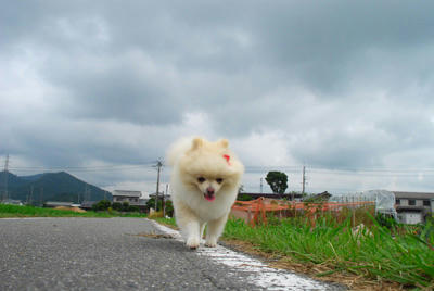 曇天