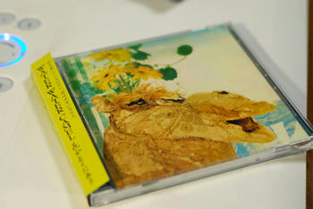 CD