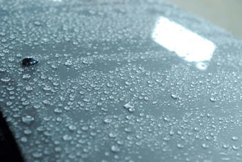 ボンネットに雨