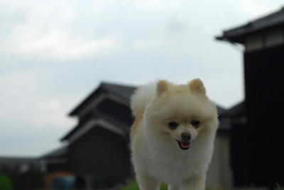 暇だねぇ