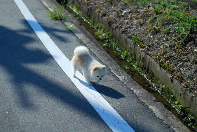 てくとこ