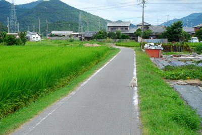 おすわりぽめ