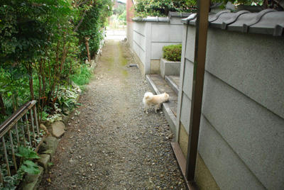 路地裏