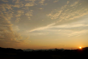 夕陽
