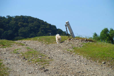 晴れ