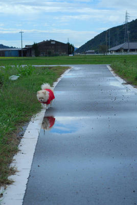 水鏡