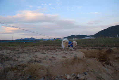夕暮れ