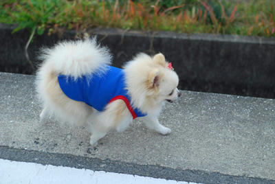 てくとこ