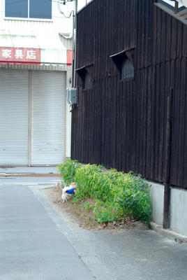木造
