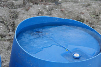 氷