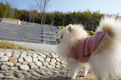 桜山公園
