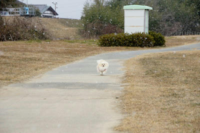 雪