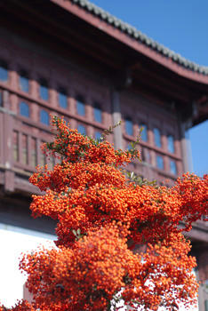 梅公園