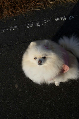 にょほほ～ん