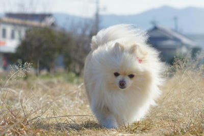 てくとこ