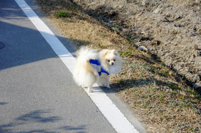 他人のふり