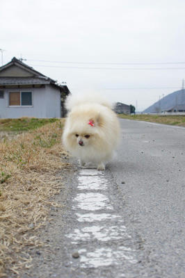 てくてく
