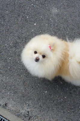 ふぬ？