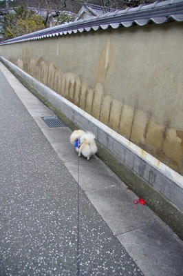 てくてく