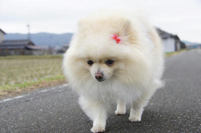 むむむ