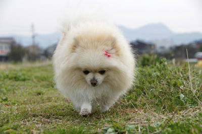 てくとこ