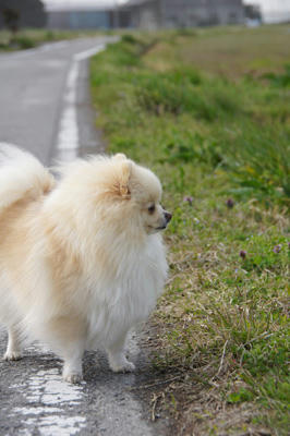 ふえ～