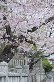神社