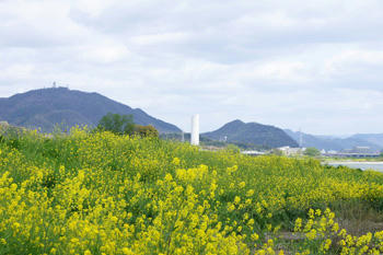 貯水塔と菜の花