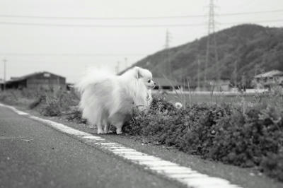 曇り