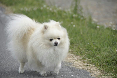 ふぅ