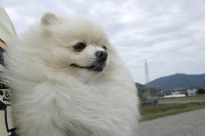 梅雨がくる～