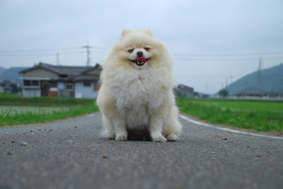 ふぅ
