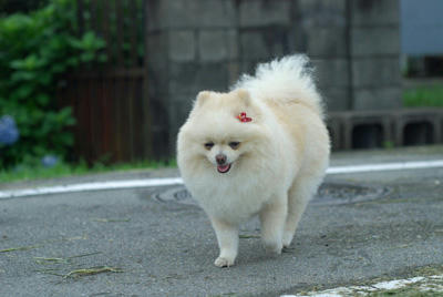 あちあち