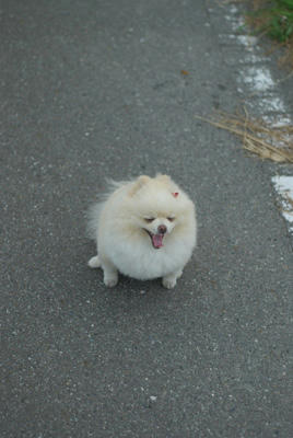 ふへぇ
