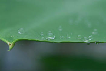 水滴