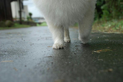 びちょびちょだこらー