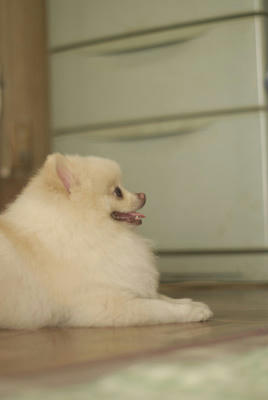 なんかくだちゃい