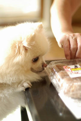 案ドーナッツを狙う！