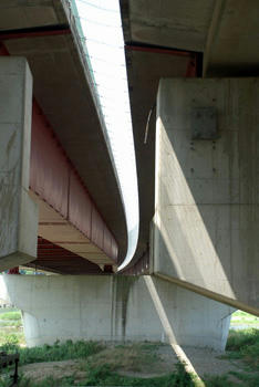 橋の下ですずみんこ